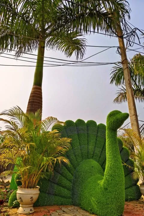 why choose resort atmosphere