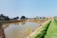 thumbnail of Lake Area